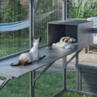 Cat+Playpen-1328481519-1328481517 (2)