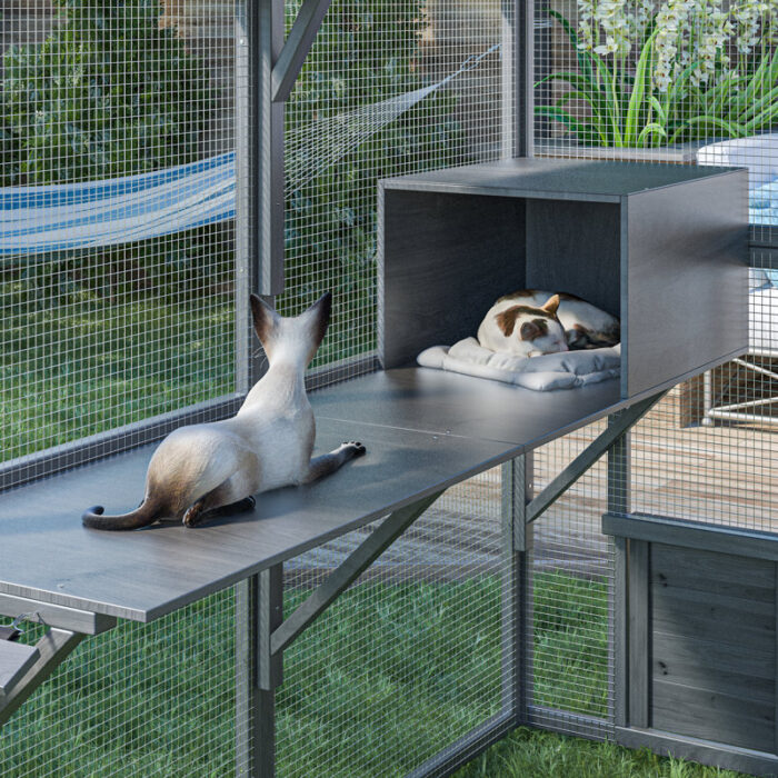Cat+Playpen-1328481519-1328481517 (2)