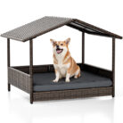 Outdoor&Indoor+Rattan+Dog+Bed+with+Removable+Cushion+Dog+House+with+Canopy+Raised+Dog+Bed+for+Small,+Medium+Dogs-255276166