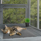 Tucker+Murphy+Pet™+Cat+Catio,+Window+Box+Enclosure+For+Indoor+Cats (1)