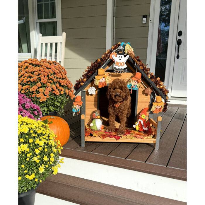 Wood+Insulated+Dog+House-42855829 (2)